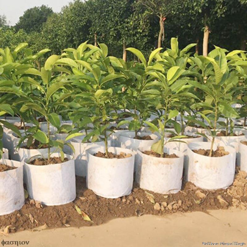 Macetas de plántulas biodegradables no tejidas, bolsas de plantación ecológicas, bolsa de vivero, bolsas de cultivo de plantas, bolsa de tela