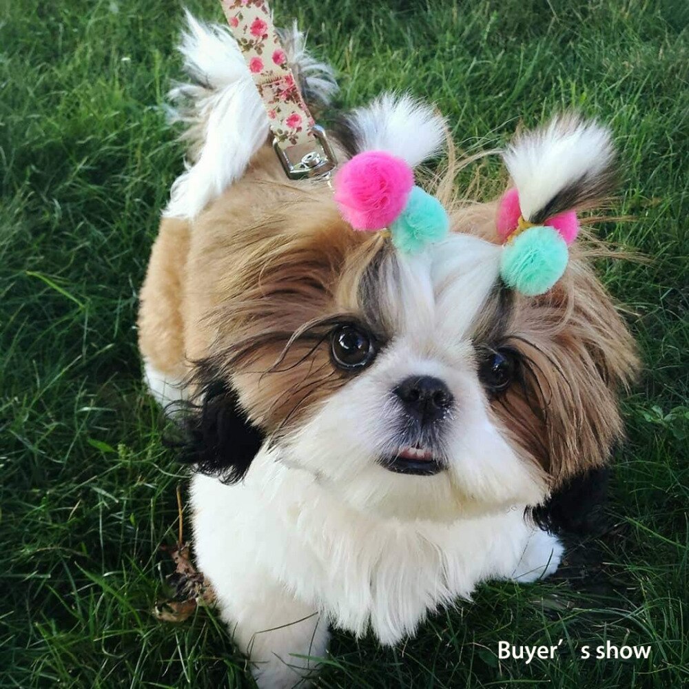 100 uds/50 pares bonito perrito de mascota perro arcos del pelo de Color brillante perro moños de acicalamiento de perro, accesorios para el cabello para pequeños suministros para mascotas perros