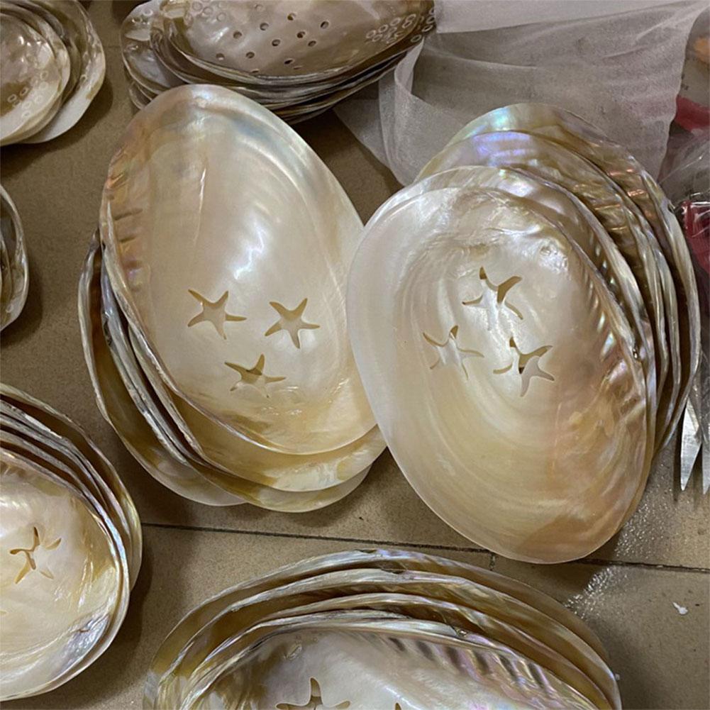 Natural Freshwater Pearl Shell Oyster Mother of Pearl Nautical Home Decor Beach Clam Shell for DIY Jewelry Making Craft Sea U0I0