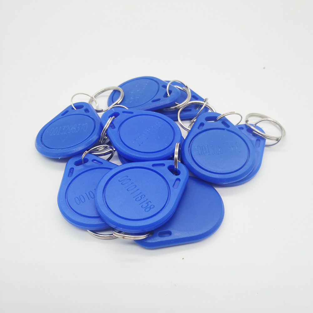 Llaveros RFID de 125Khz, 10 unidades, solo lectura, TK4100, proximidad