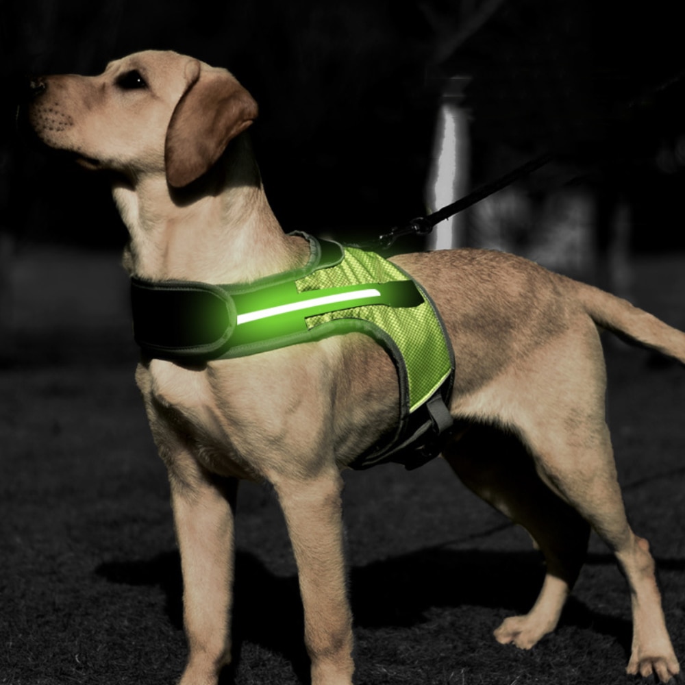 Valoisa led  k9 koiran valjaat koiran kaulapanta turvaheijastin valjaat liivi huskypaimen labradorin keskikokoisille koirille lemmikkitarvikkeet