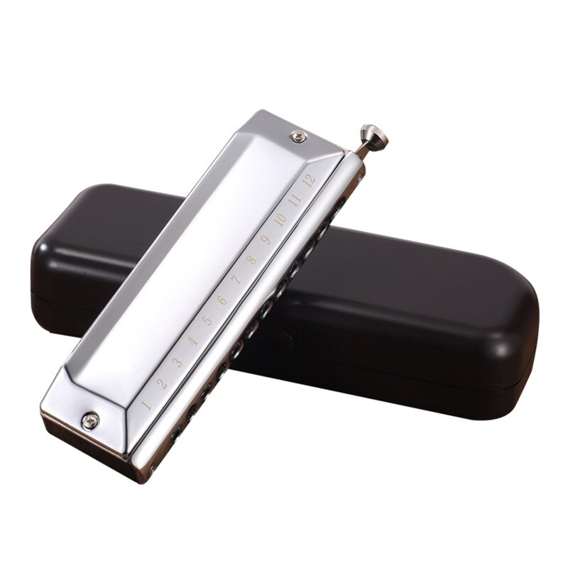 448D Blues Harmonica in C, 12 Holes Blues Harp Diatonic Harmonica 48 Tones Mouth Organ Harmonica in C For Adults, Beginners: Silver