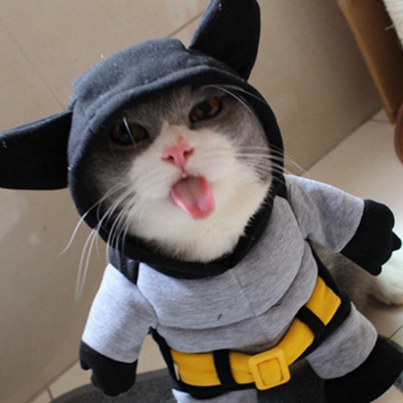 [MPK Store] , Muscular-Bat Cat Costume, 5 Sizes Available