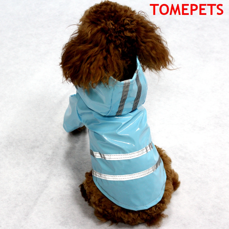 TOMEPETS-chubasquero con rayas para perros pequeños, chubasquero para mascotas, color sólido, en cinco colores, Rosa/rojo/café/amarillo/azul: Azul / L