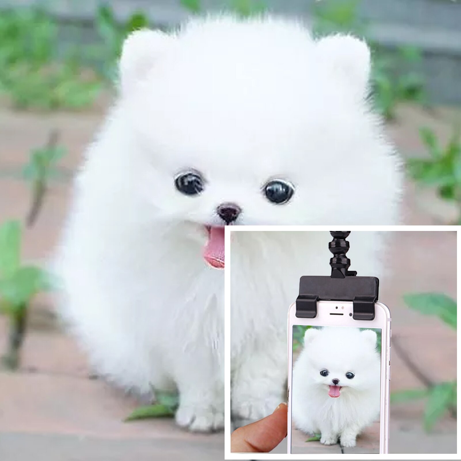 Bâton à Selfie pour animal de compagnie, jouet de prise de vue, Clip de téléphone portable, pour chien, chat, chiot