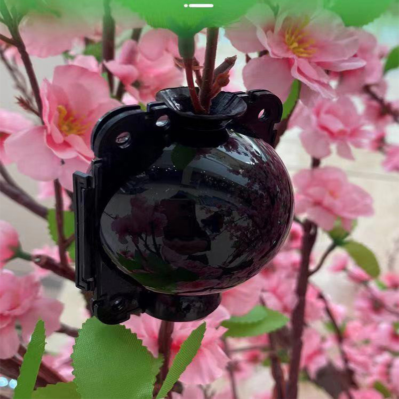 HEMAN – boule d'enracinement pour plante, boîte de croissance pour jardin, 5/8cm de diamètre