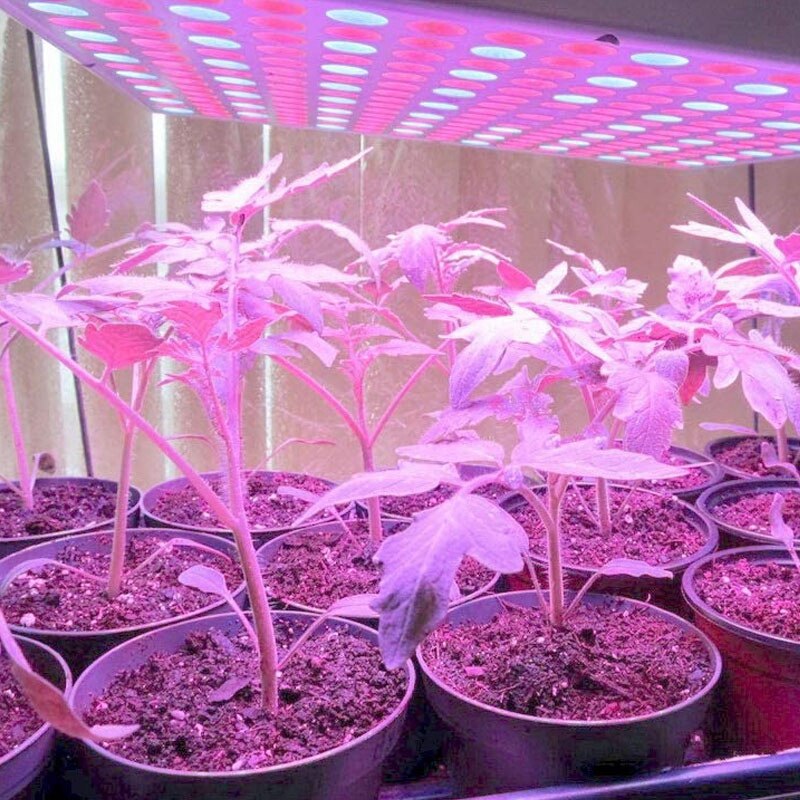 Macetas de plástico para plantas de semillero, 150 piezas, 4,72 pulgadas, suministros de guardería