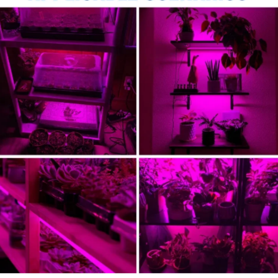 5v ledet fullspektret lampe plantevekstlys usb-lampe innendørs drivhus til planter blomster grønnsaker hydroponisk barlys