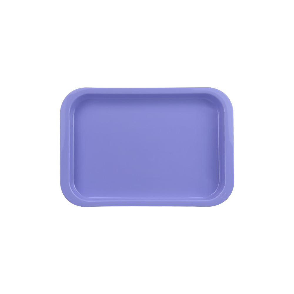 Bandeja de instrumentos de odontología esterilizable, paletas de plástico esterilizables en Autoclave, herramientas de dentista, bandejas planas, accesorios consumibles, 1 Uds.: Rojo