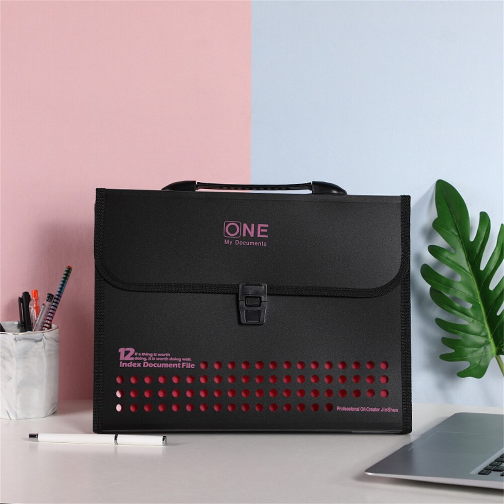 12 Pockets Accordion Expandable File Folder With Handles Portable A4/A5 Letter Size Business Office File Document Organizer PP: PInk