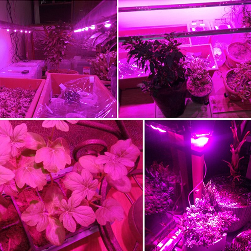 Led plantevækst lampe cob 30w 50w 80w ac110v 220v fuld spektrum 380-780mm drivhus hydroponics plantning af blomster vandtæt