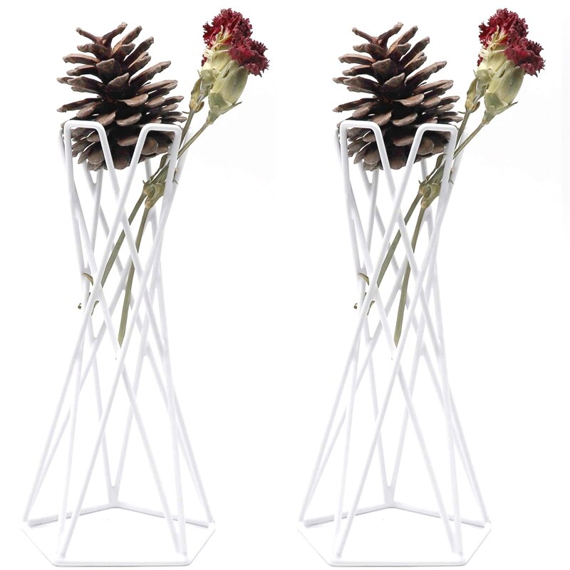 Ycagrain 3 Stks Geometrische Luchtplant Houder Luchtplanten Metalen Planten Stand Planter Planten Himmeli Decor Tillandsia Containers