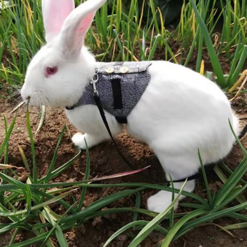 Lille kæledyr kanin plaid dragt sele tøj vest brystbånd snor trækkraft reb sikreste og mest behagelige sele med snor.