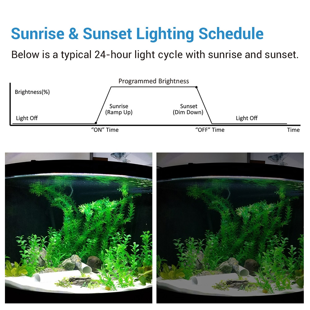 Nicrew led lysdæmper controller solopgang solnedgang modulator til akvariefisk tank ledet intelligent lys timing dæmpningssystem