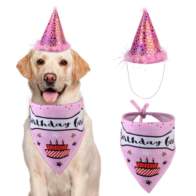 Hond Hoeden Voor Verjaardag Hond Huisdier Verjaardagsfeestje Hoed Hond Leeftijd Anniversary Party Speeksel Handdoek Set Hond Accessoires Voor Kleine honden