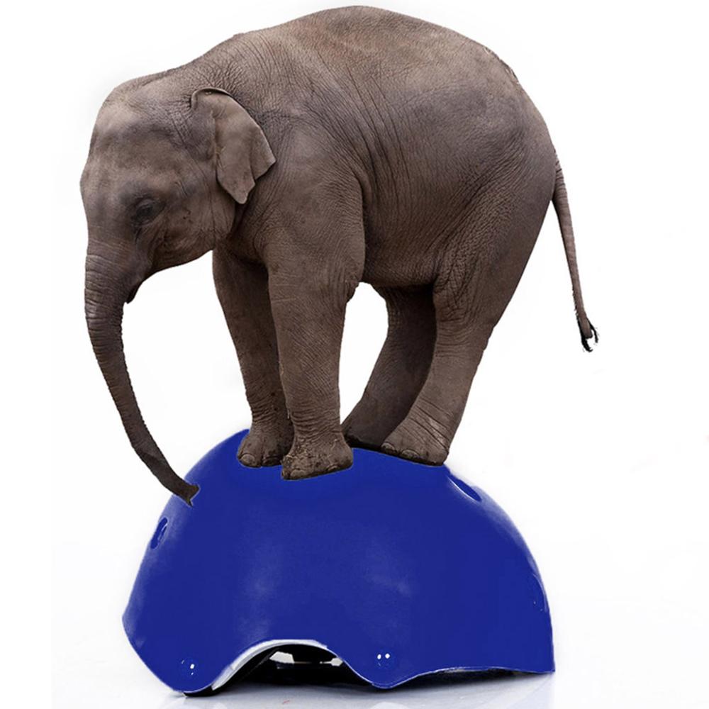 Kids Safety Riding Helmet Child Bicycle Cycling Scooter Skateboard Skate Headgear Protector