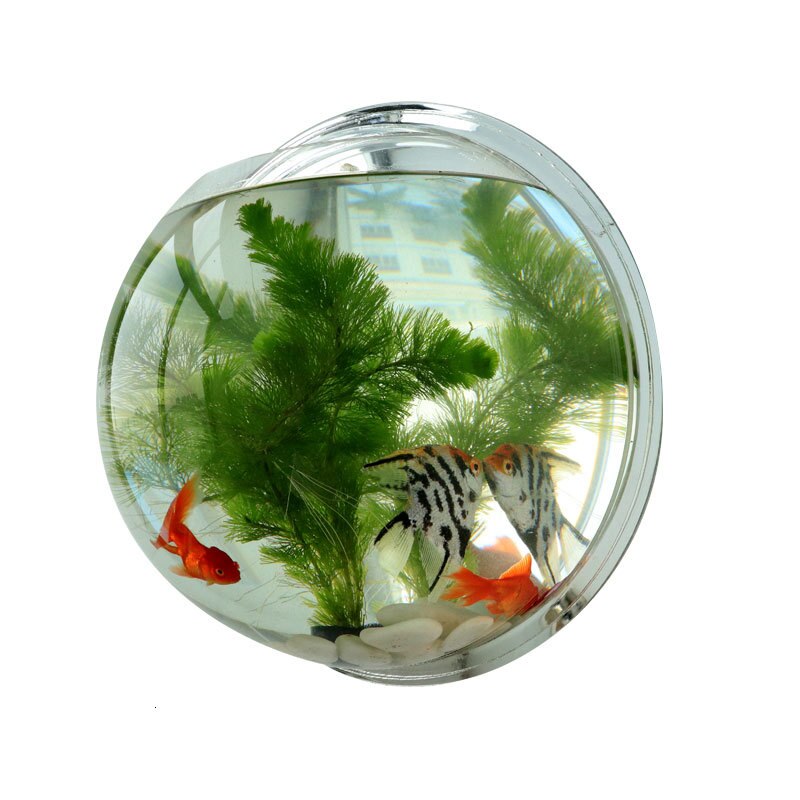 Peceras acrílicas para colgar en la pared, accesorios de montaje en pared, para acuario, maceta para flores, florero para plantas, Mini acuario, Betta