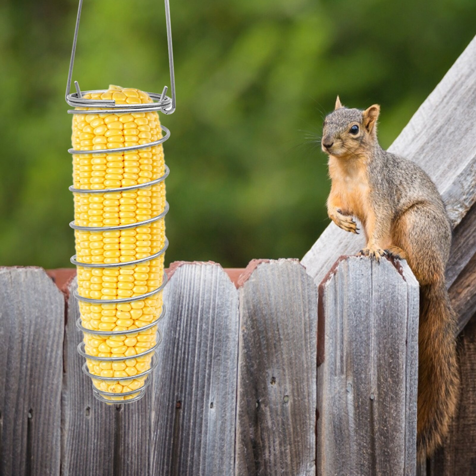 Wild Birds Hanging Feed Holder Outdoor Bird Feeder Pet Parrot Food Feeding Durable Practical Pets Container Hanger Feeding Tool
