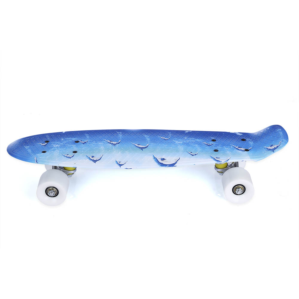 22 Inch Four-Wheel Long Skateboard Dolphin Pattern PP Plastic Board Deck Skate Board Shock Resistant Skateboard For Kids Adults