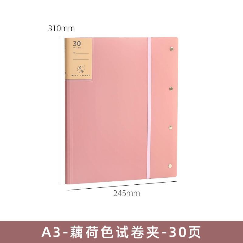 A3 Display Book 20/30/40 Pages Transparent Insert Folder Document Storage Bag for Bank Campus File Office Workplace Student: A3-pink-30p