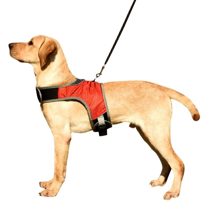Pet Safety LED Harness Dog Luminous Light Harness LED Dog Harness Leash Rope Belt LED Dog Collar Vest Pet Supplies-: Red / S