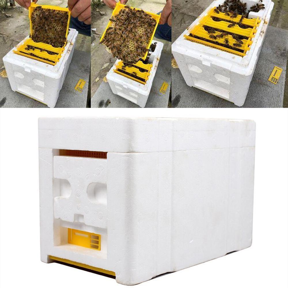 Caja de cola de abejas de plástico, caja con forma de panal, espuma de nido de abeja para cosecha, acoplamiento de abejas, polinización de abejas King, caja de densidad de abeja H F9N3