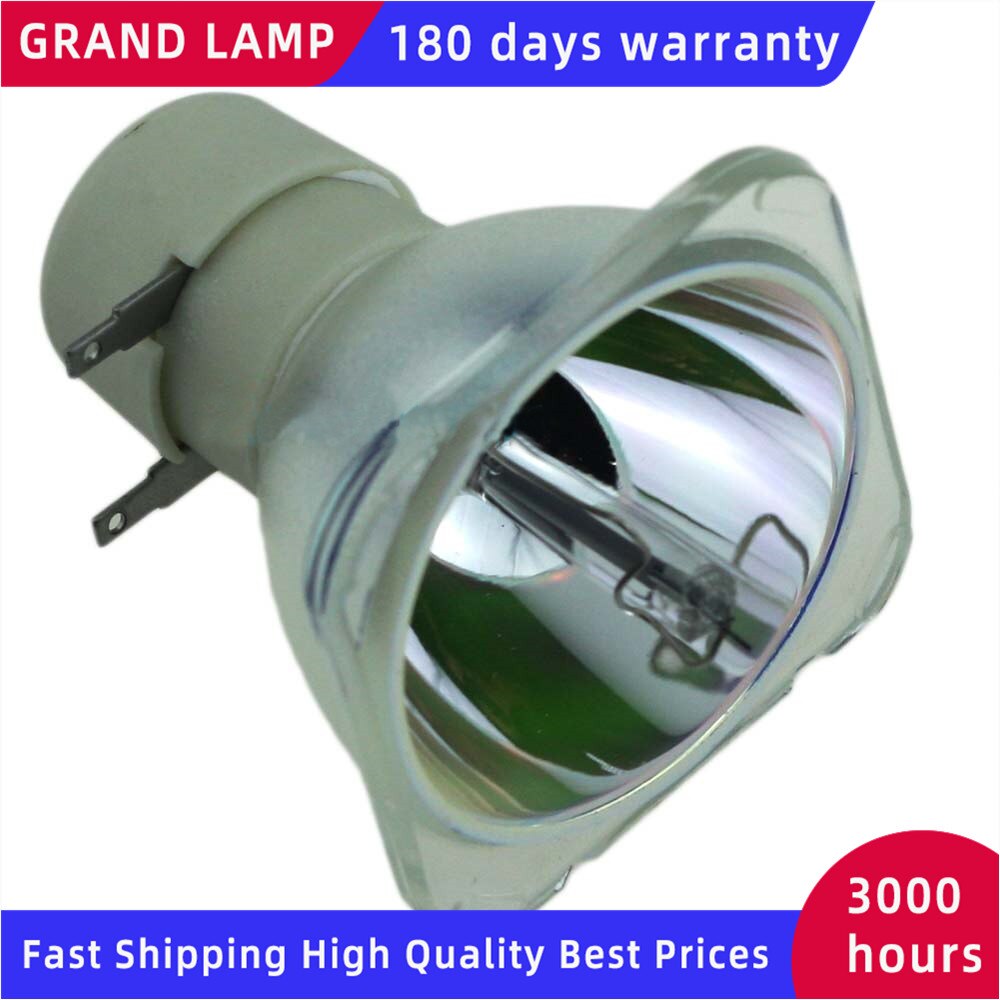 308942/LAMP TYPE 3 Replacement Projector Lamp/Bulb For RICOH PJ WX4130/PJ WX4130N/PJ WX4130Ni