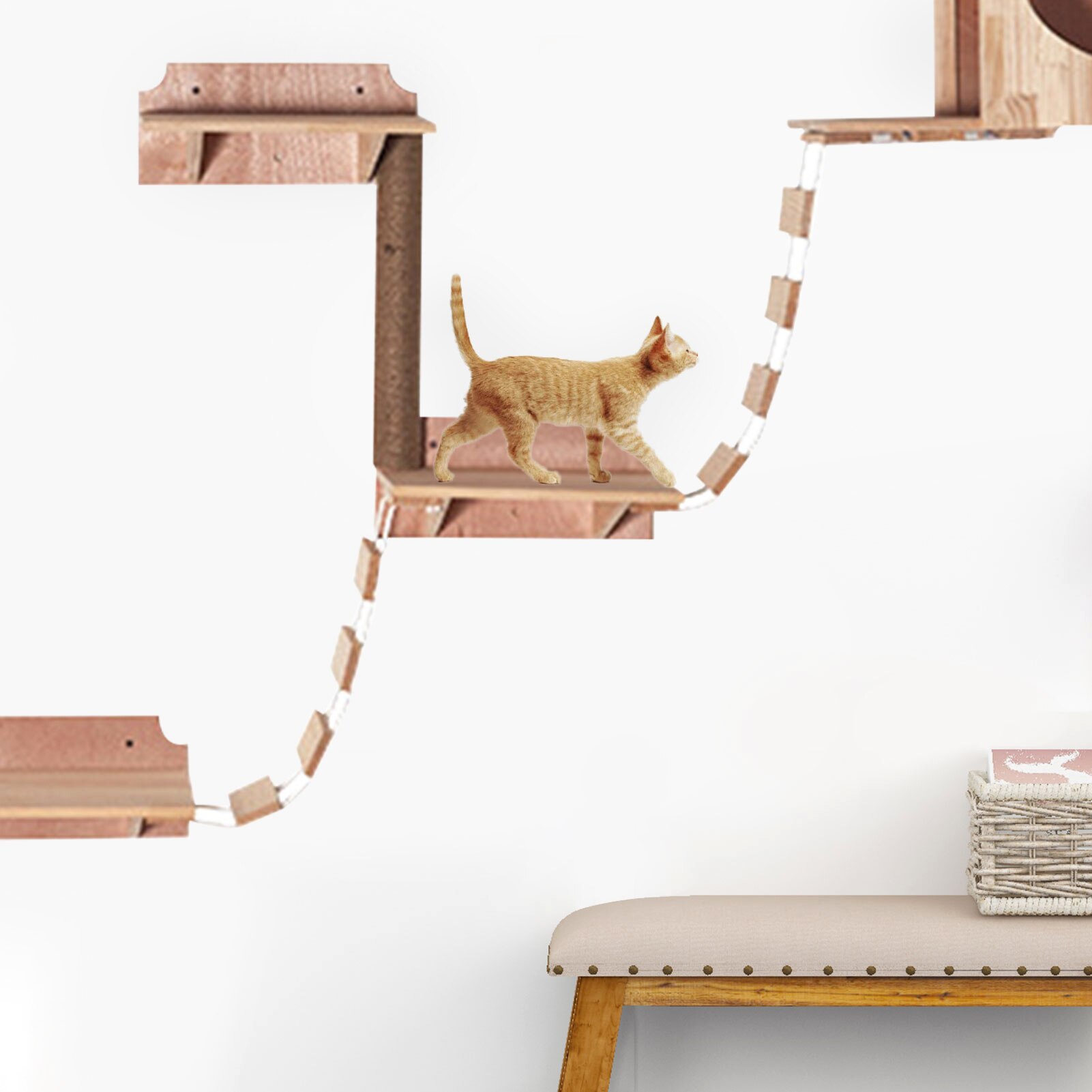 Marco de pared para gatos, escalera para gatos, práctico Marco de escalada, plataforma de madera para saltar, casa de juegos para gatos, montado en la pared,