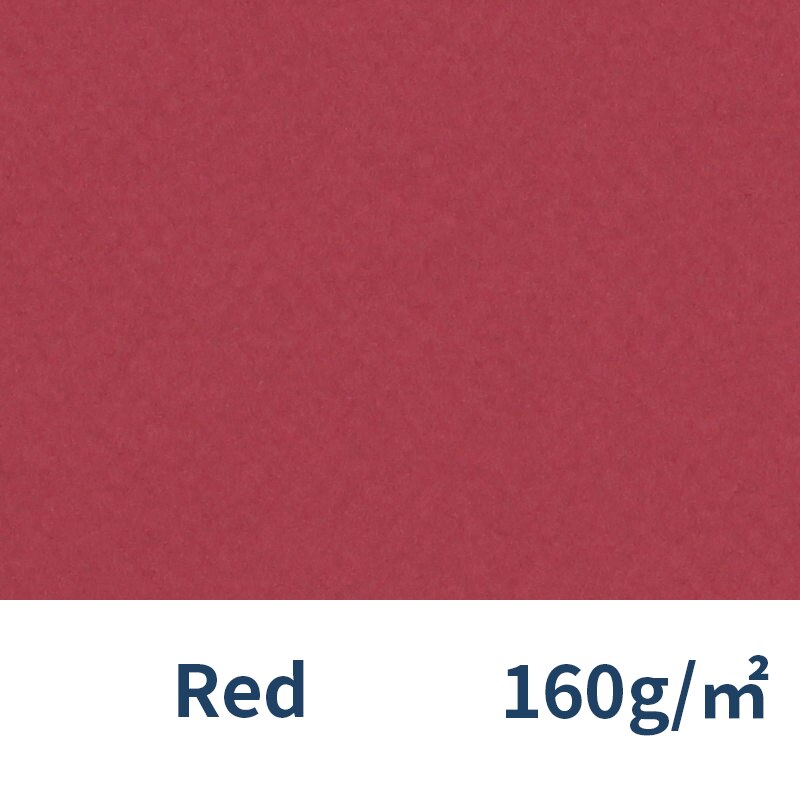 France Canson Soft Pastel Paper 4K Mi-Teintes 12Pcs Oil Pastels Painting Paper Chalk Crayon Sketch Color Pencils: 505