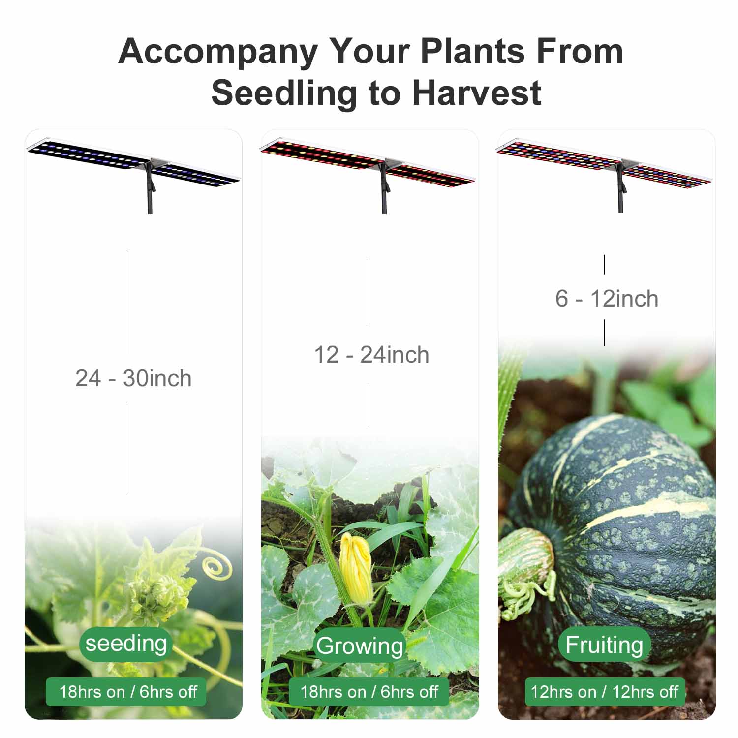 JCBritw LED Grow Light with Stand Full Spectrum White Red Blue Desk Table Growing Lamp Dimmable with Timer 100W