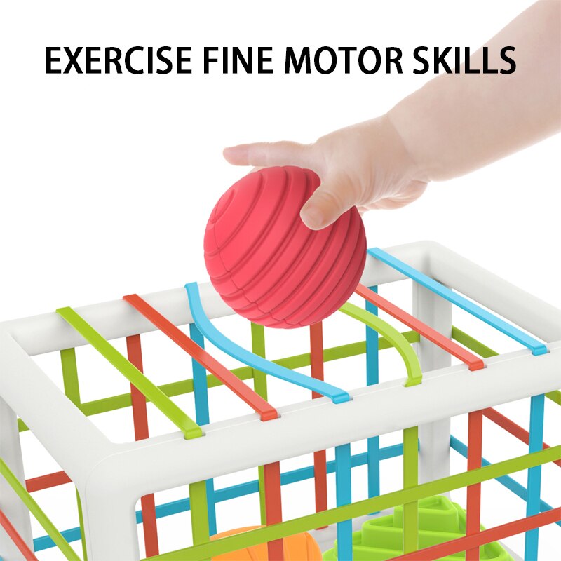 Children&#39;s Toys Baby Early Childhood Education Enlightenment Color Cognitive Hand Sensory Training Toy Rainbow Sessele