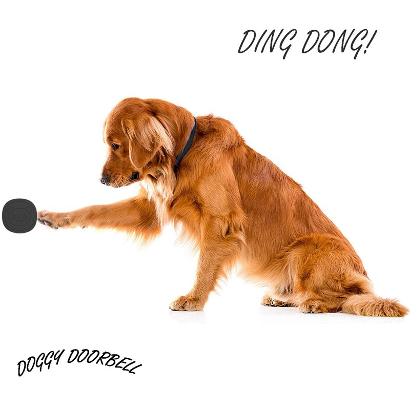 Bestsellers: De beste items in Deurbellen voor honden op basis van de aankopen van -klanten