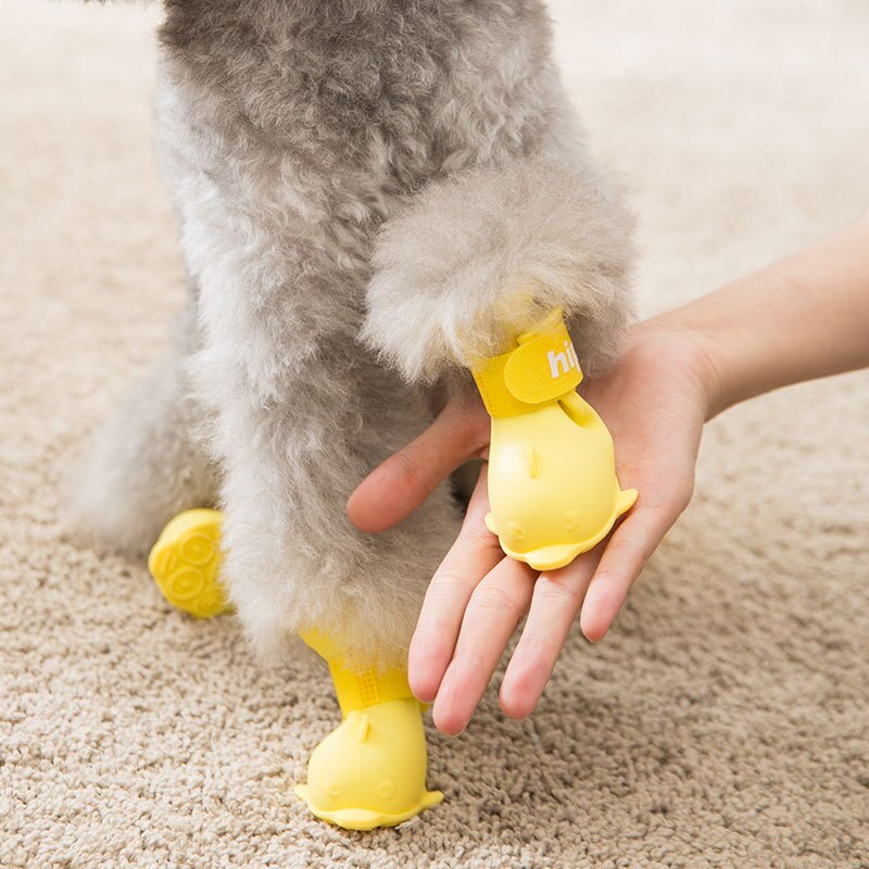 Een Set Van 4 Hond Regen Schoenen Gelei Regen Laarzen Waterdichte Voet Covers Schoenen Huisdier Voor Kleine Honden Regen Levert pomebi Beer Teddy