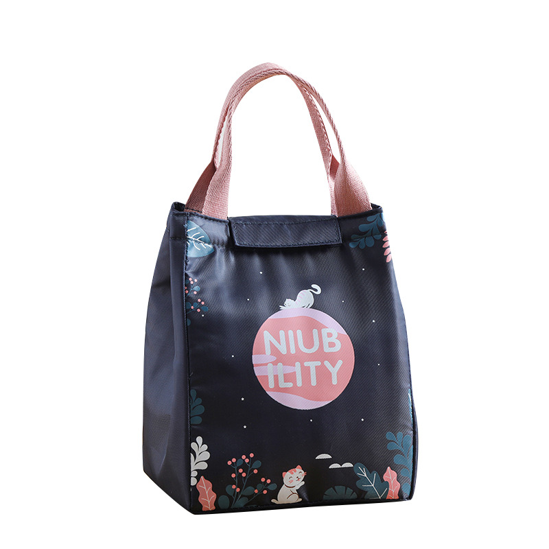 Draagbare Lunch Bag Lunchbox Geïsoleerde Canvas Picknick Voedsel Opbergzakken Lunchbox Tote Reizen Picknick Handtas Reizen Lunchbox: H