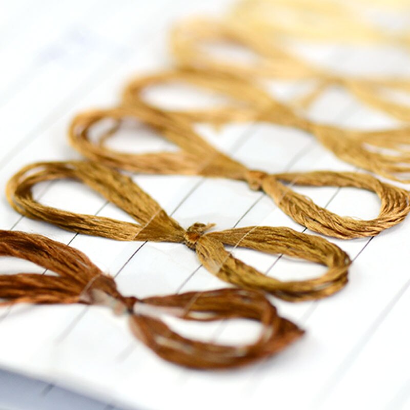 Color Display Book Dedicated Various color systems... – Grandado