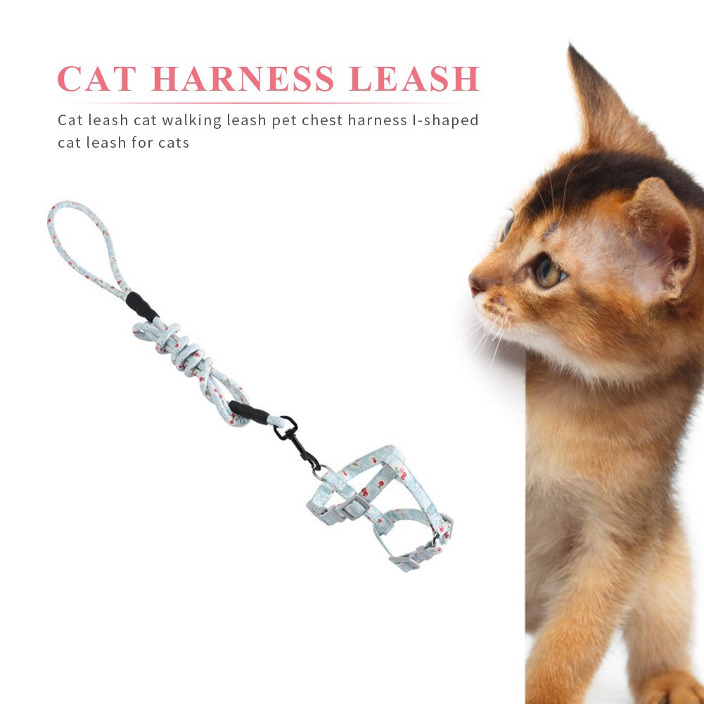 Harnais pour chat, laisse, ceinture, collier, sangle en forme de I, corde de guidage pour chiot, chaton, chiot, marche en plein air