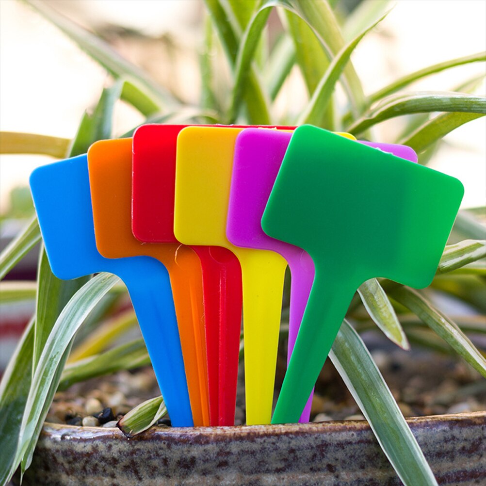 Rotuladores de planta colorida para bonsái de jardín, etiquetas para suculentas, etiquetas de PVC para jardinería, estaca en el suelo, palos para pintar, 100 Uds.