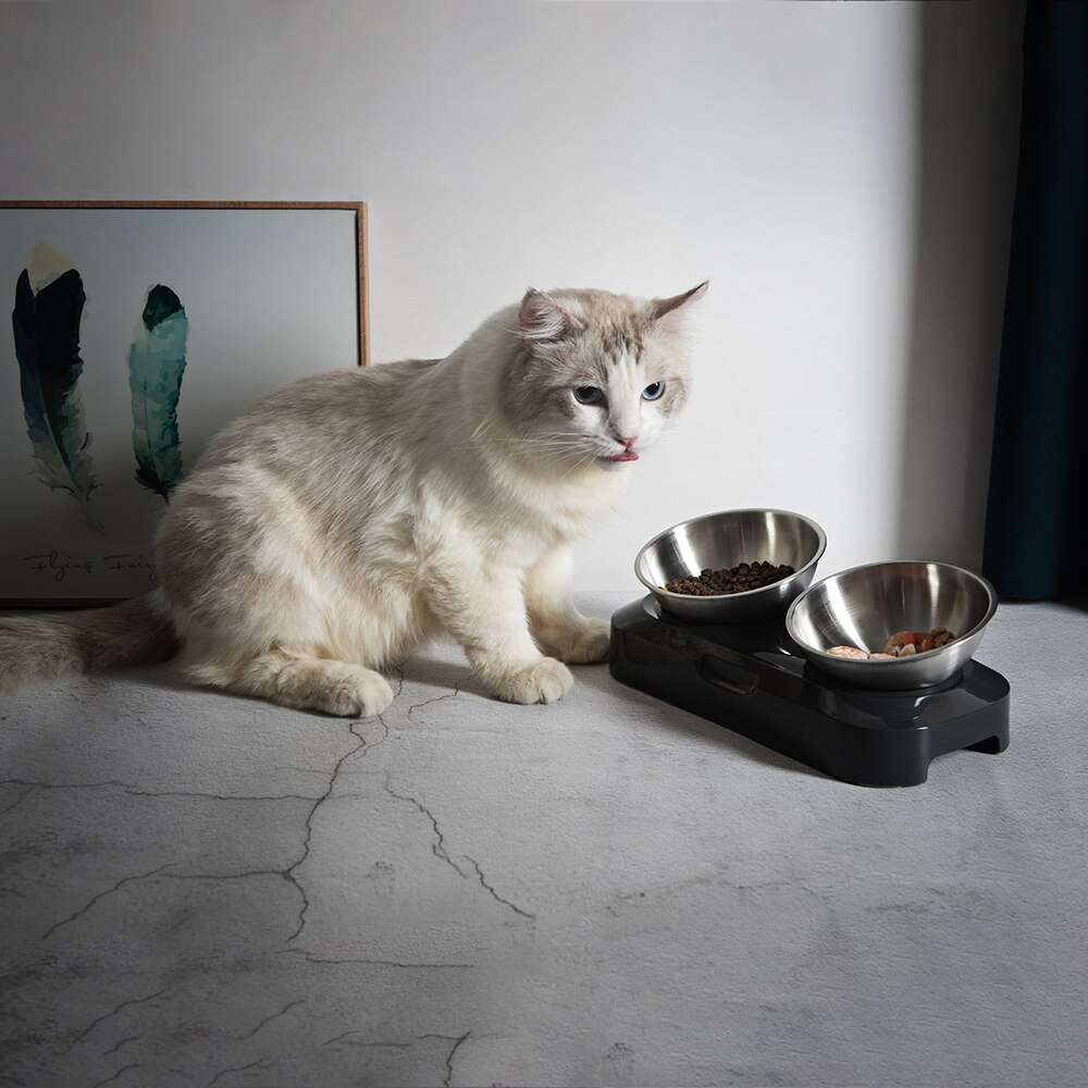 Honden- en kattenbakken van roestvrij staal, reisvoetafdruk, voerbak, waterbak voor huisdieren, honden, katten, puppy's, voerbak voor buiten