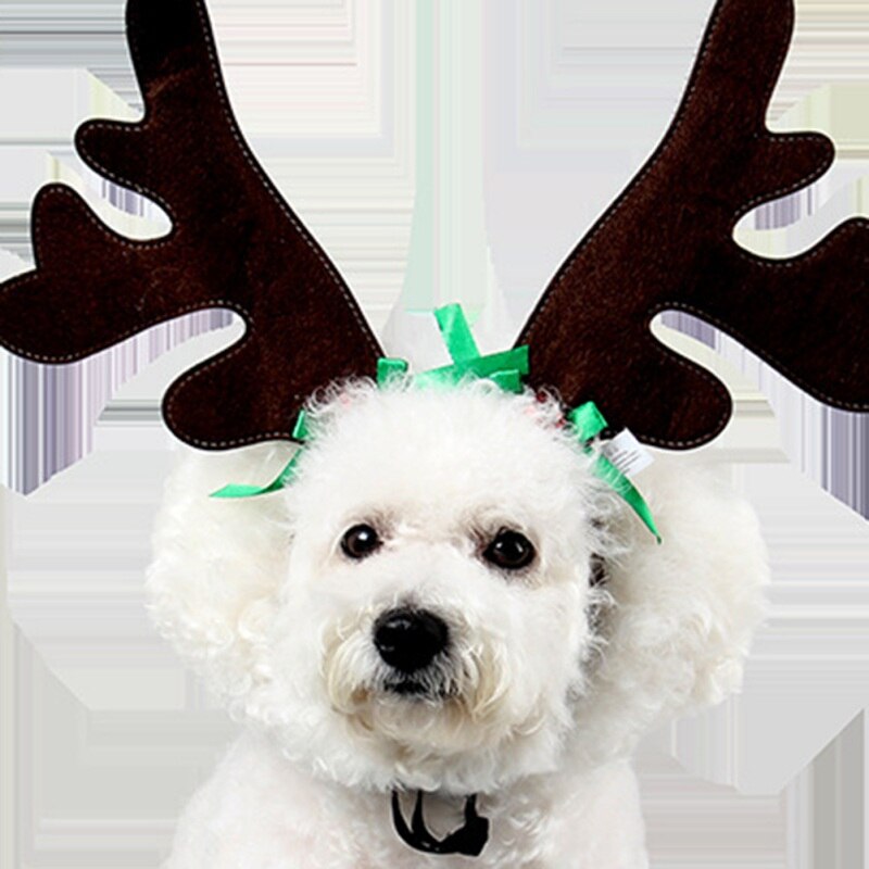 Serre-tête en forme de cloche de renne pour chien et chat, accessoire de décoration de fête de noël, couvre-chef de cerf
