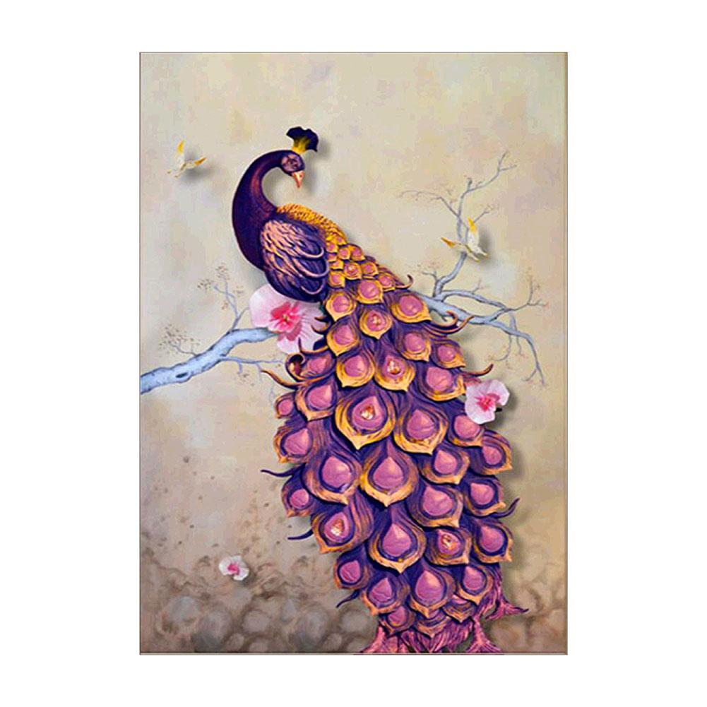 40x30cm Peacock 5D Diamond Painting Embroidery DIY Cross Stitch Craft Home Decor: Clear