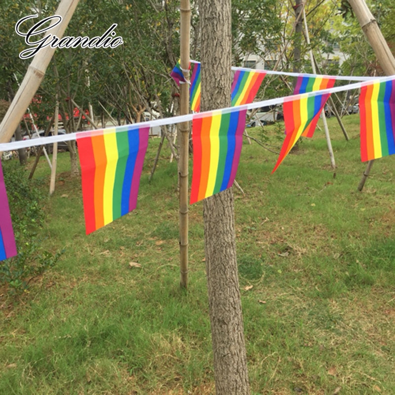 Hanging Rainbow Flag LGBT 14x21cm Polyester 15 Pieces 5M Length Lesbian Gay Pride Printed Home Decorative Flags and Banners