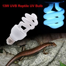 Reptile Heat Lamp E27 UVB Koesteren Licht Reptiel Benodigdheden E27 Reptiel Lamp Reptielen Veiligheid AC 220-240V UV 13W Lampen Hagedis