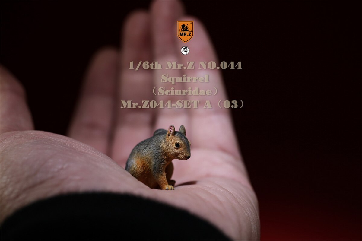 Mr.Z Studio 1:6 3Pcs Squirrel Pet Figure Sciuridae Animal Collector Model Toy Kid Resin Ornaments Healing Small Jewelry