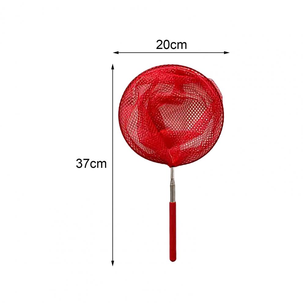 Filet de pêche télescopique pour enfants, filet de pêche en acier inoxydable pour attraper des poissons, filet d'extérieur pour insectes, papillons et libellules