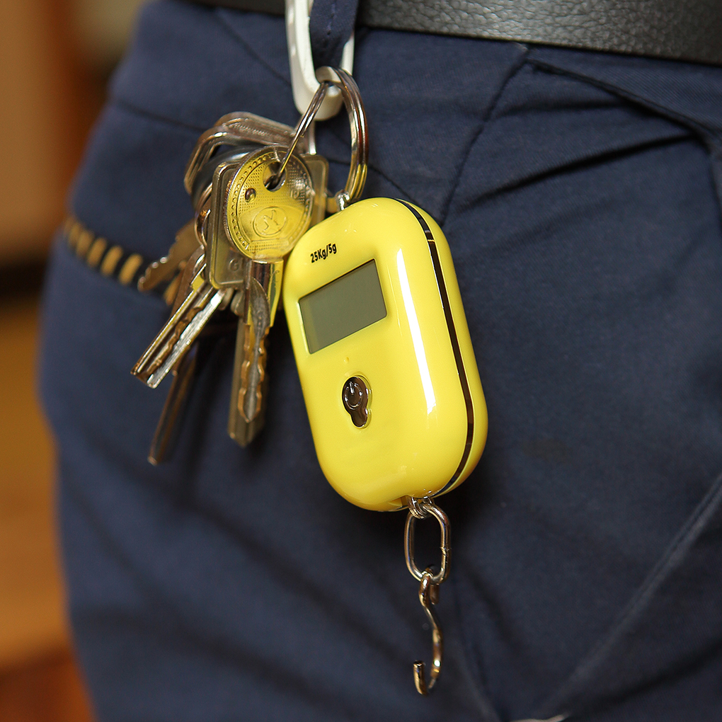 25Kg x 5g Digital Hanging Scale Mini Electronic Luggage Hook Scale LCD Backlight Kitchen Steelyard