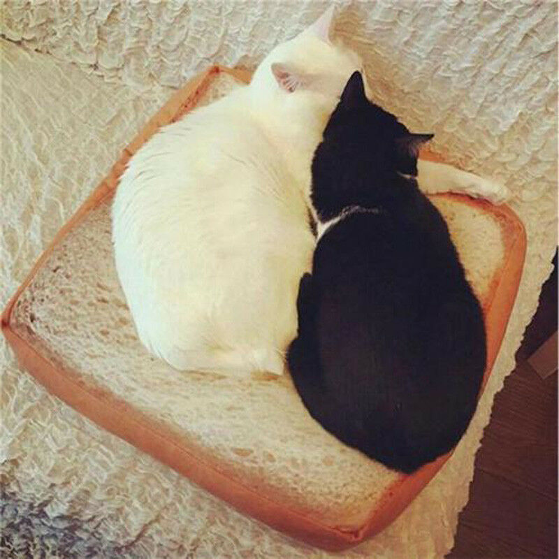 Toast brød katt pute hund matte kjæledyr senger rekvisita kittle myk pute plysj sete