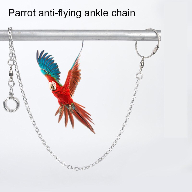 Anneau de patte en acier inoxydable, accessoire de patte, oiseau, Pigeon, perroquet, chaîne de Traction Anti-vol, accessoire