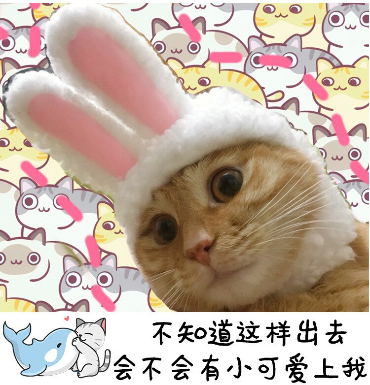 Gorro con orejas de conejo para gatos y perros pequeños, gorro de felpa con orejas de conejo, para Pascua, productos para mascotas, 2022