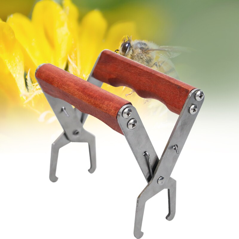 1Pcs Bee Hive Frame Holder Lifter Capture Grip Nest Box Jig Beehive Equipment Bee Feeder Drinking Cellular Basis Beekeeping Tool