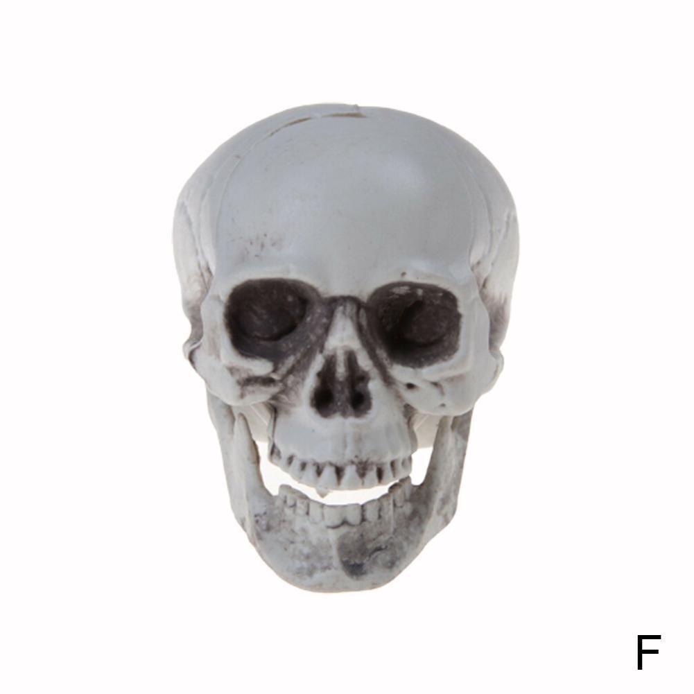 Halloween Decorations Artificial Skull Head Model Plastic Skull Bone Horror Skeleton Party Bar Model Human Anatomical Model: F
